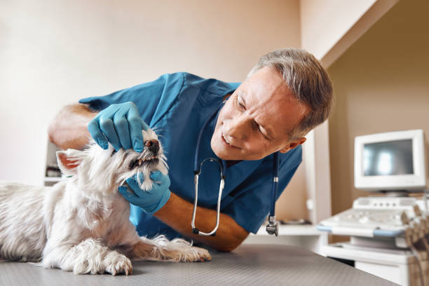 Best Same-Day Emergency Appointments in Winnsboro, SC